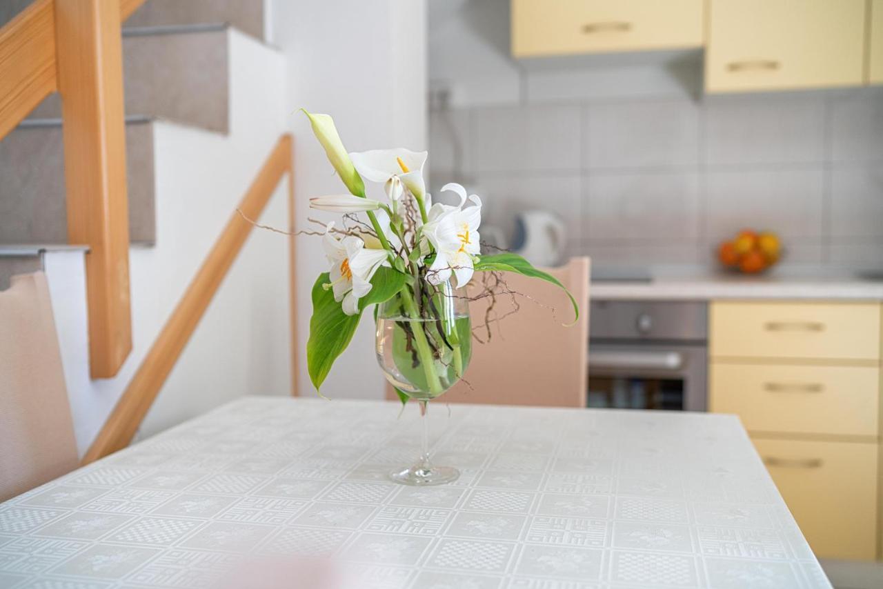 Bebe Apartment Водице Экстерьер фото